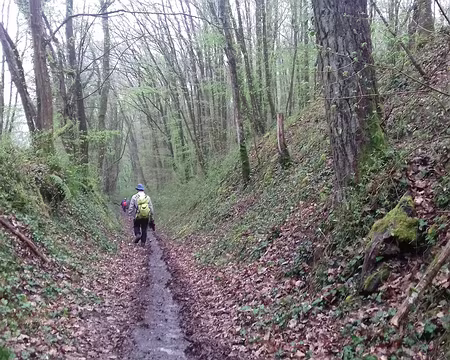 042 Descente dans le bois de la Guigneraie vers le village de Souzy-la-Briche