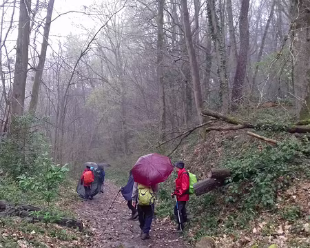 049 Descente vers Saint-Chéron dans la vallée de l’Orge