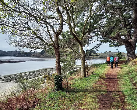 009ab lesparcs à huîtres se découvrent.
