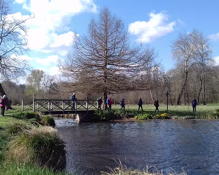 018 Passerelle au bout de l’étang