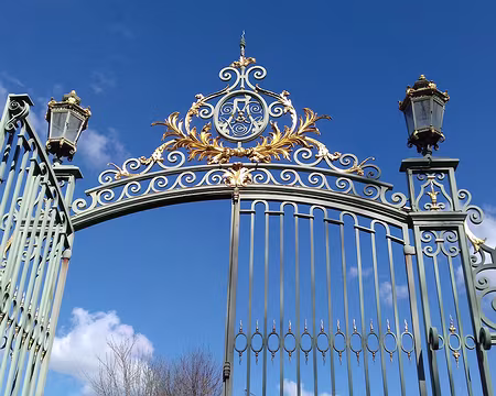 024 Sortie du parc en direction de la forêt du Belvédère