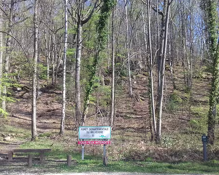 026 Arrivée dans la forêt départementale du Belvédère au nord du village
