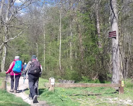 027 Entrée dans la forêt par la route forestière de la Longuenoue