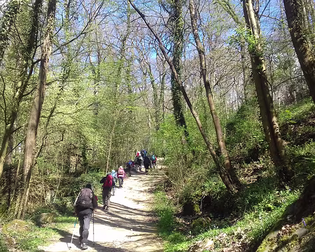 028 Montée vers le plateau