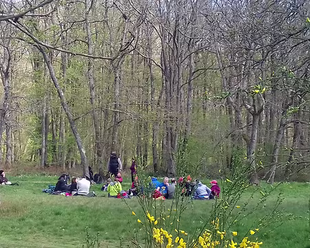 032 Pique-nique convivial dans la clairière