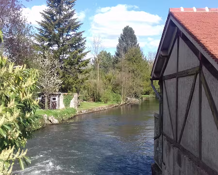 038 La Juine à Lardy. Longue de 18 km, cette rivière, qui prend sa source dans le Loiret, se jette dans l’Essonne à Vert-le-Petit