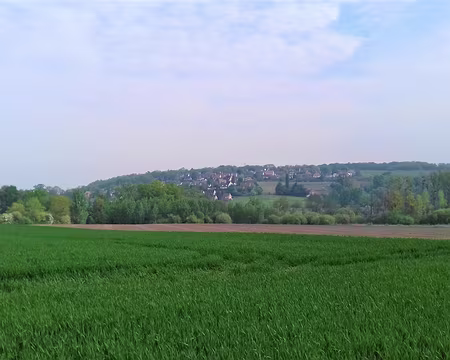 009 Les côteaux de Chaumontel près de Luzarches