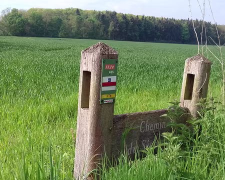 013 Le GR 655 (Via turonensis)