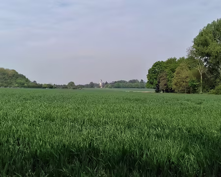 014 Dernière vue sur l’église de Luzarches