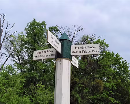 023 A la croisée des chemins, dans la forêt de Coye (1650 ha)