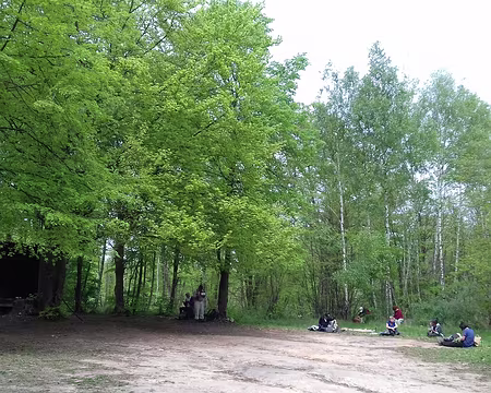 025 Pique-nique dans la clairière au carrefour du Colonel