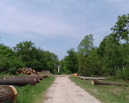 028 Direction le Poteau Nibert