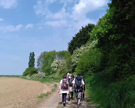 041 Le chemin, entre labours et frondaisons
