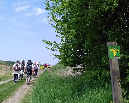 043 Sur le Chemin des Noyers