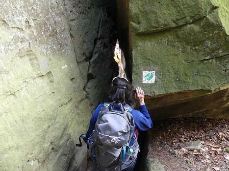 Christian Christian D, détail sortie