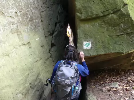 Christian Christian D, détail sortie