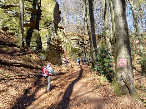 Eric Eric D, détail sortie