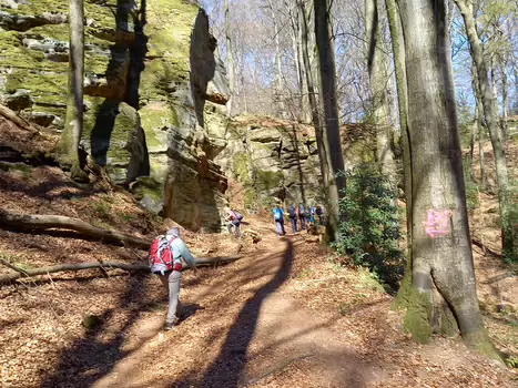 Eric Eric D, détail sortie