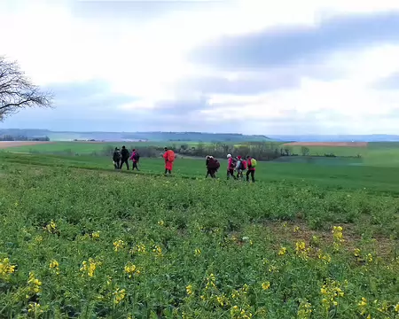 015 Chemin au milieu des champs