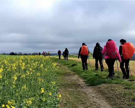 018 Le plateau a une altitude moyenne de 125 m