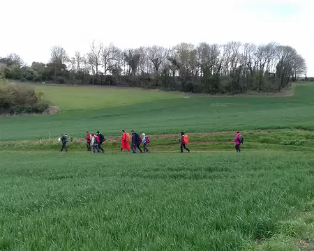 019 Céréales et bosquet