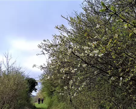 021 Cherchez le groupe