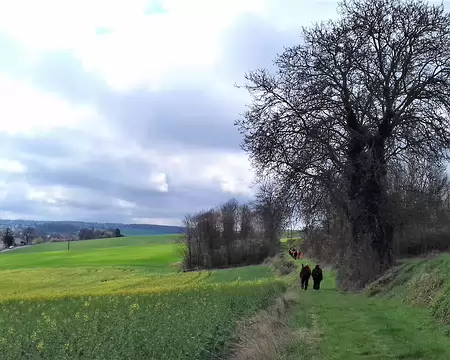 023 Sur les hauteurs de Beynes