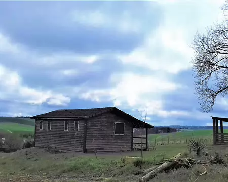 024 Un cabanon entre vigne …