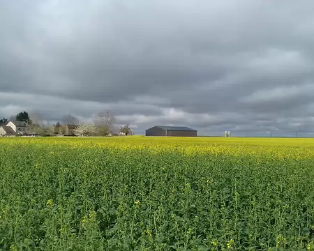 029 Exploitation agricole à La Couperie vue depuis la rue de la Prise aux Anglais
