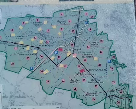 035 La forêt de Beynes sur la carte