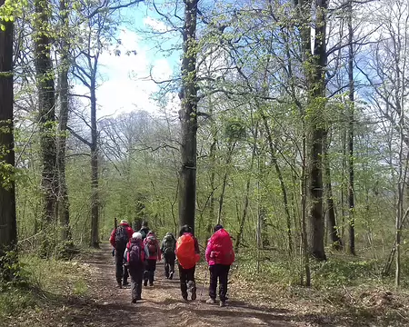 038 Allée forestière