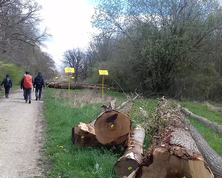 041 Le gaz naturel est acheminé à Beynes par un gazoduc en provenance de Montoir-de-Bretagne
