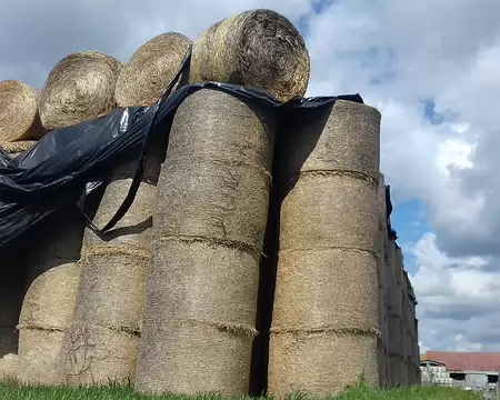 045 Quelques réserves