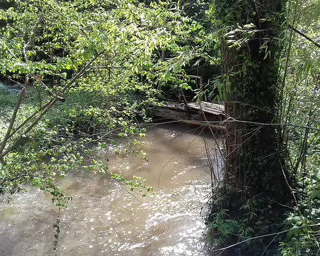 049 La Mauldre vue depuis le pont de Cressay