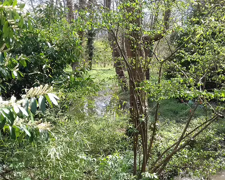 050 Merci Claude pour cette belle randonnée de printemps sur les côteaux de la Mauldre