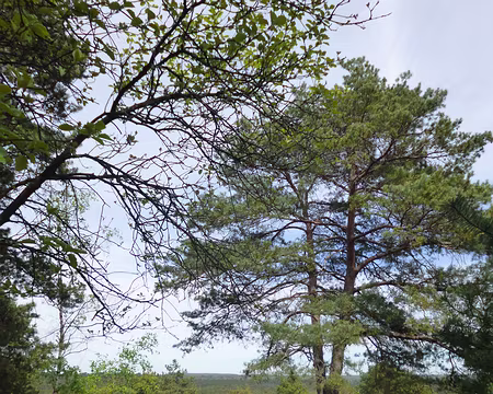 P1150084 Rocher de Bouligny