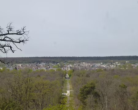 P1150087 Fontainebleau depuis le Petit Mont Chauvet