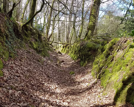 20220419_143323 Chemin creux