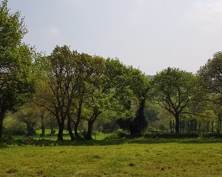 20220421_140013 Vallée de Goaslagorn