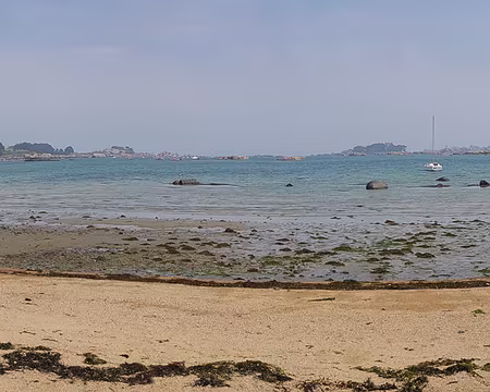 20220423_133920 Anse Sainte-Anne