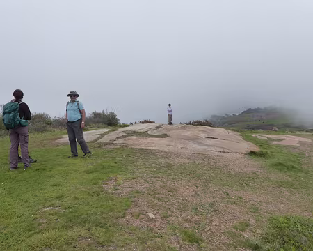 P1020497 mais où sont-elles passées ?