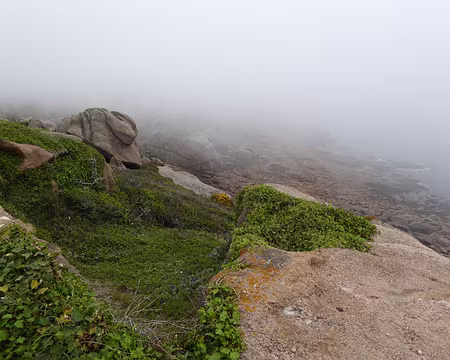 P1020498 dans la brume...