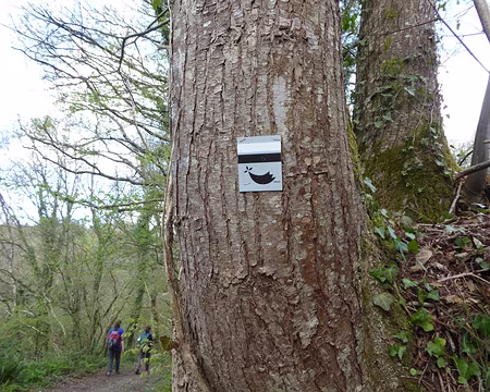 P1020558 sentier breton