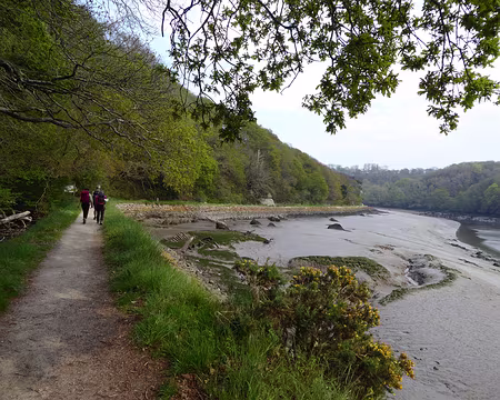 P1020644 le long du Léguer