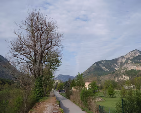 014_DSCF7832 Le long de la digue du Verdon