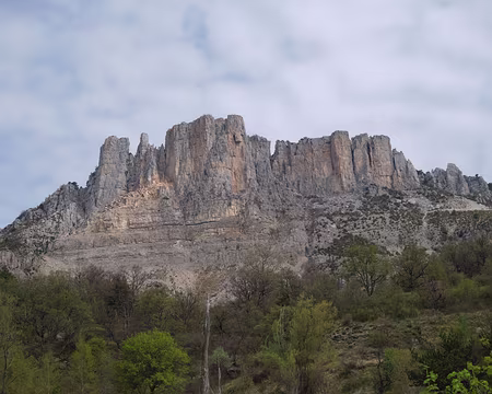 019_DSCF7858 Les Cadières de Brandis