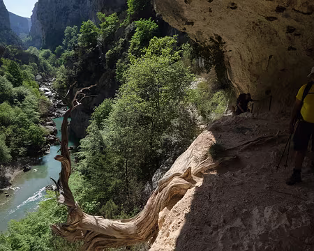 113_DSCF8561 Devant le fameux cade millénaire. C’est un genévrier thurifère dont on ne connait pas l’âge exact mais qui aurait plus de mille ans