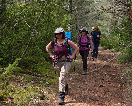 167_DSCF9106 Sur le Plateau de Barbin