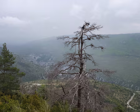 174_DSCF9143 On entendait des coups de tonnerre mais aussi les coups de canon des manœuvres sur le camp militaire de Canjuers de l’autre côté des gorges