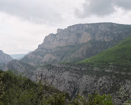 237_DSCF9616 Avant la pluie